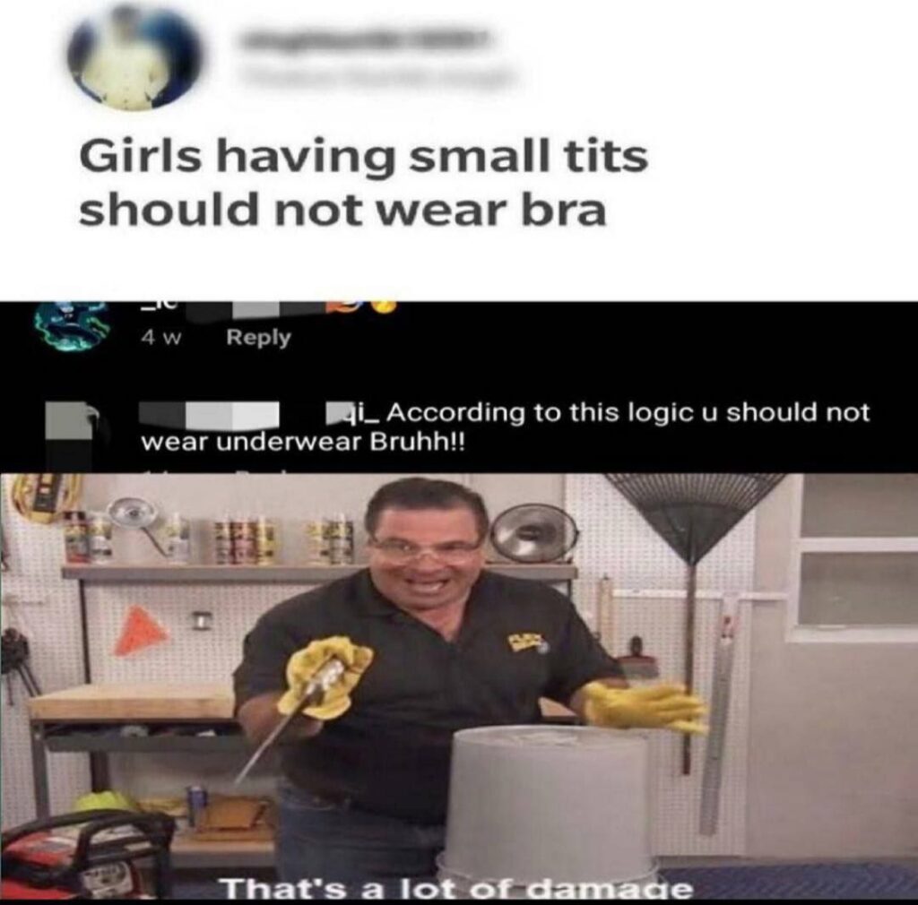 Girls having small tits should not wear bra." Reply: "That logic is as weak as my willpower." That's a lot of damage. #logic #roasted.