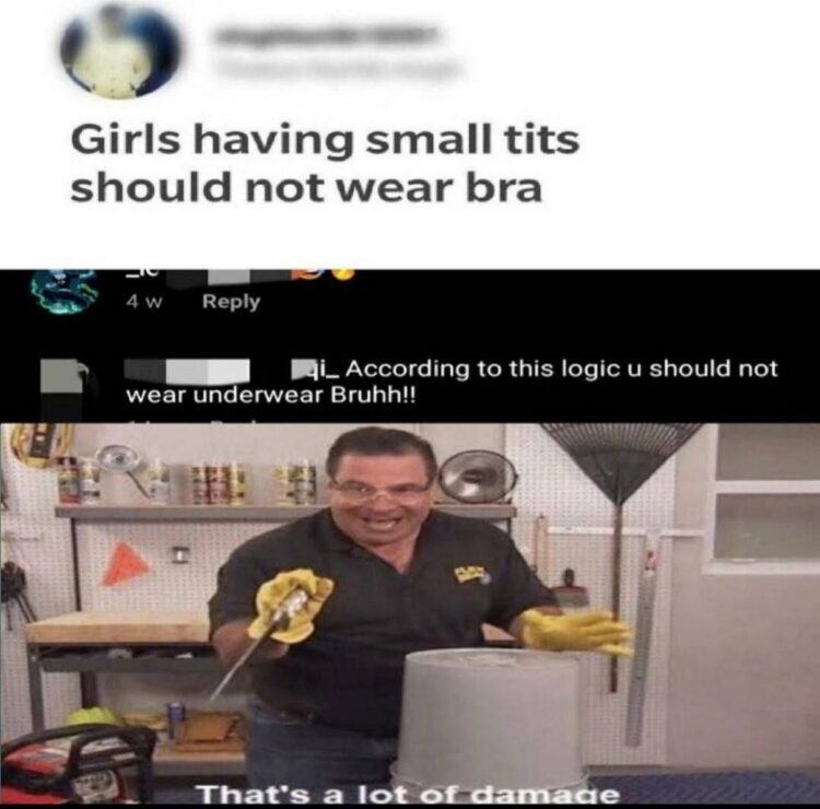 Girls having small tits should not wear bra." Reply: "That logic is as weak as my willpower." That's a lot of damage. #logic #roasted.