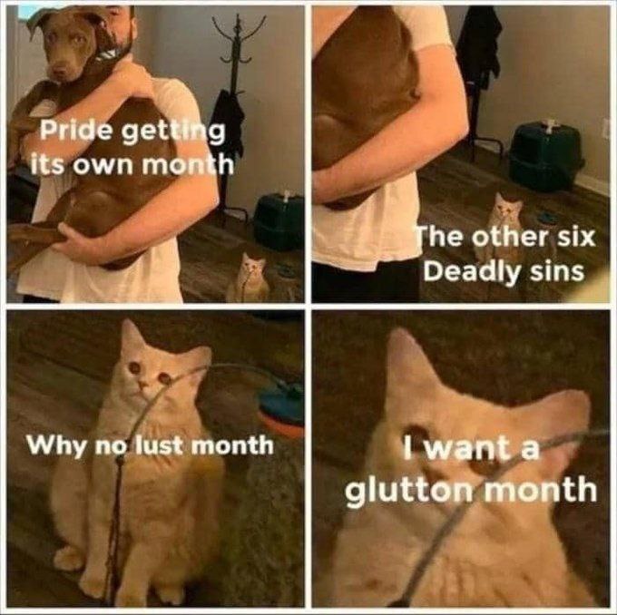 Pride getting its own month. The other six Deadly sins: Why no lust month? I want a glutton month. #meme #sinful #lol.