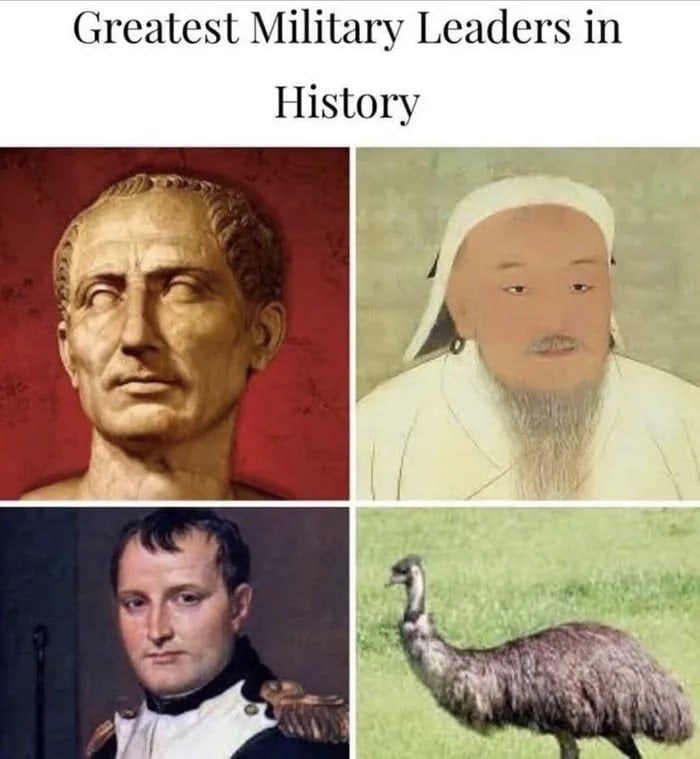 You think you know military legends, then bam—EMU sneaks in! “Greatest Military Leaders in History” #history #memes #plotwist.