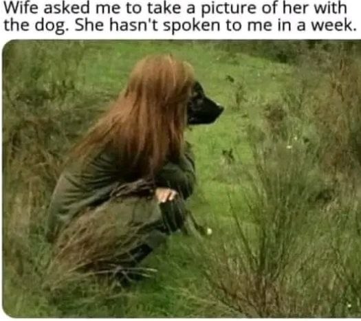 When you take one "pawsome" shot and your wife doesn’t talk to you for a week. Marital bliss level: expert. #dogface #marriage.