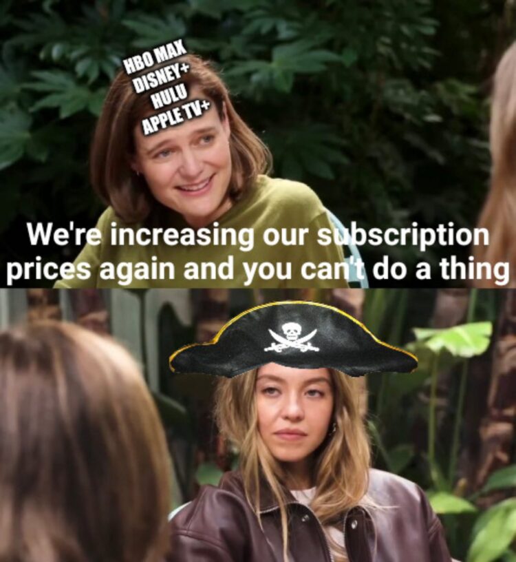 Streaming services: "We're increasing our subscription prices again and you can't do a thing." Me with the pirate hat #relatable.