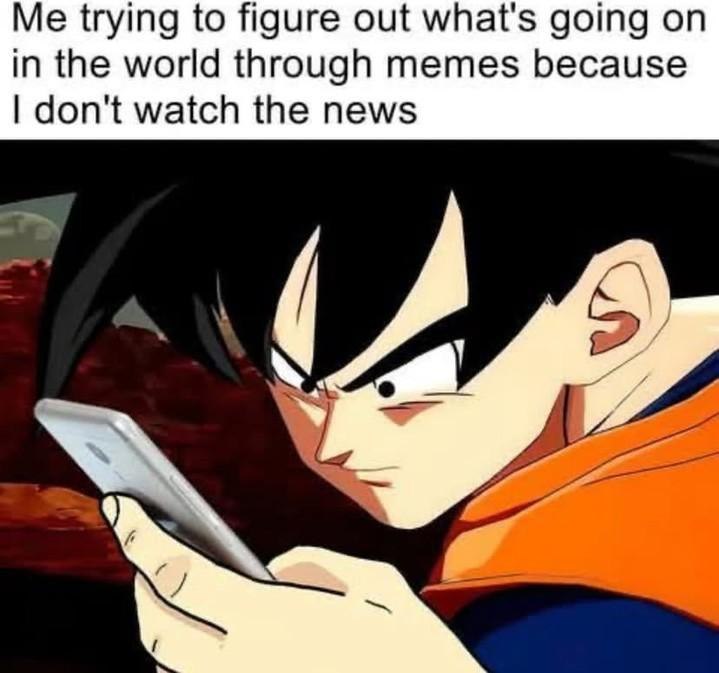 Me trying to figure out what's going on in the world through memes because I don't watch the news. #meme #Goku #news.
