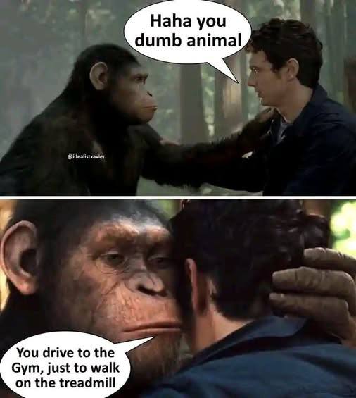 You drive to the gym, just to walk on the treadmill." Who's the dumb animal now? 😂 #gymhumor #chimpenergy #truth.