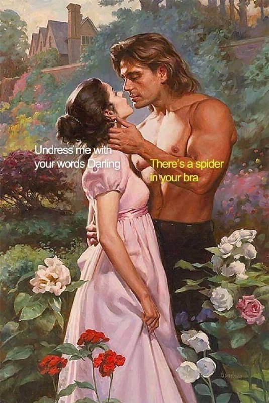 When you try to be smooth but real life gets in the way: "Undress me with your words Darling" "There's a spider in your bra." #romance.
