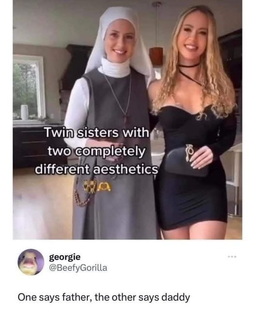 You and your sibling showing up like “Twin sisters with two completely different aesthetics.” #squadgoals #twins.