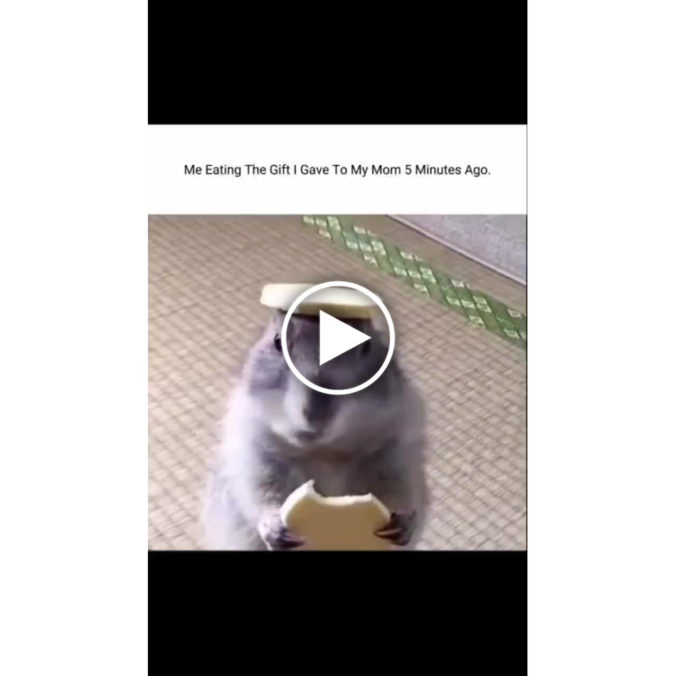You ever gift your mom something then immediately want it back? "Me eating the gift I gave to my mom 5 minutes ago." #guilty #mood.