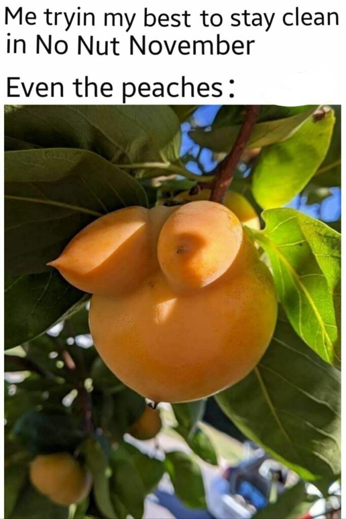 Me trying my best to stay clean during No Nut November and even the peaches look tempting 😂🍑 #relatable #NoNutNovember.