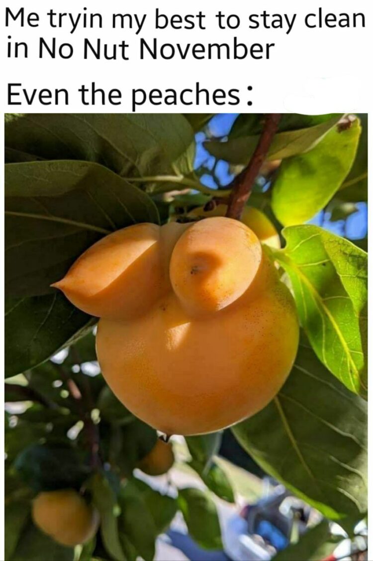 Me trying my best to stay clean during No Nut November and even the peaches look tempting 😂🍑 #relatable #NoNutNovember.