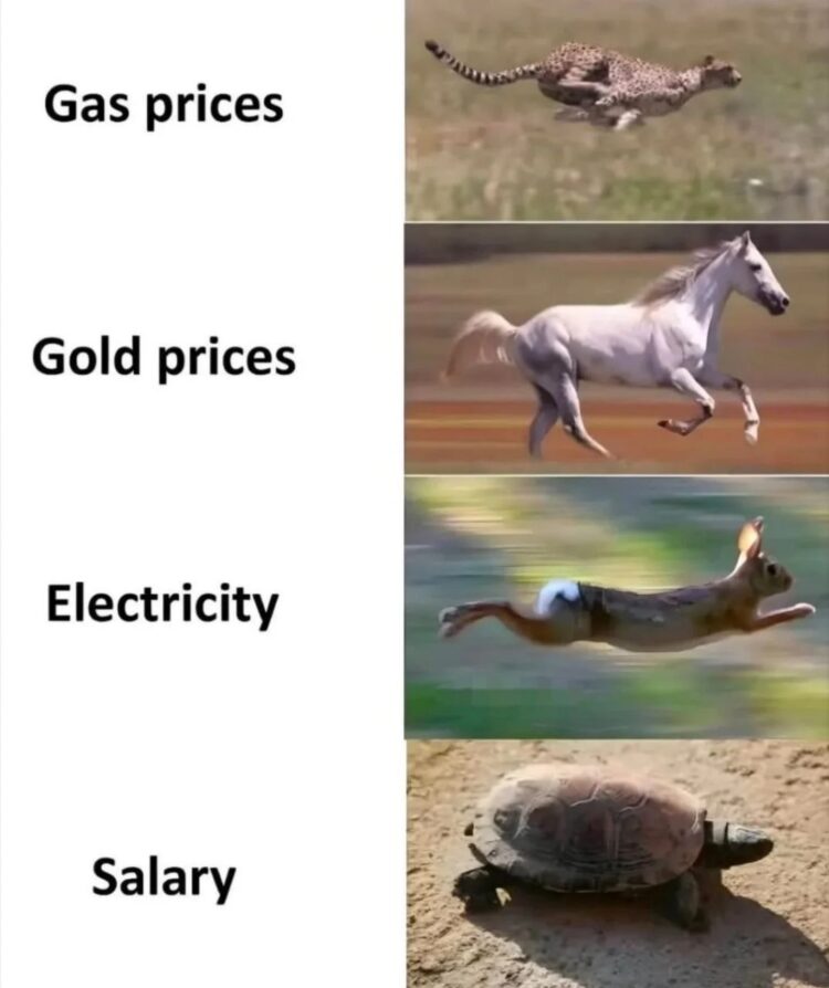 When gas, gold & electricity sprint like cheetahs but your salary crawls slower than a tortoise. #inflation #broke #strugglebus.