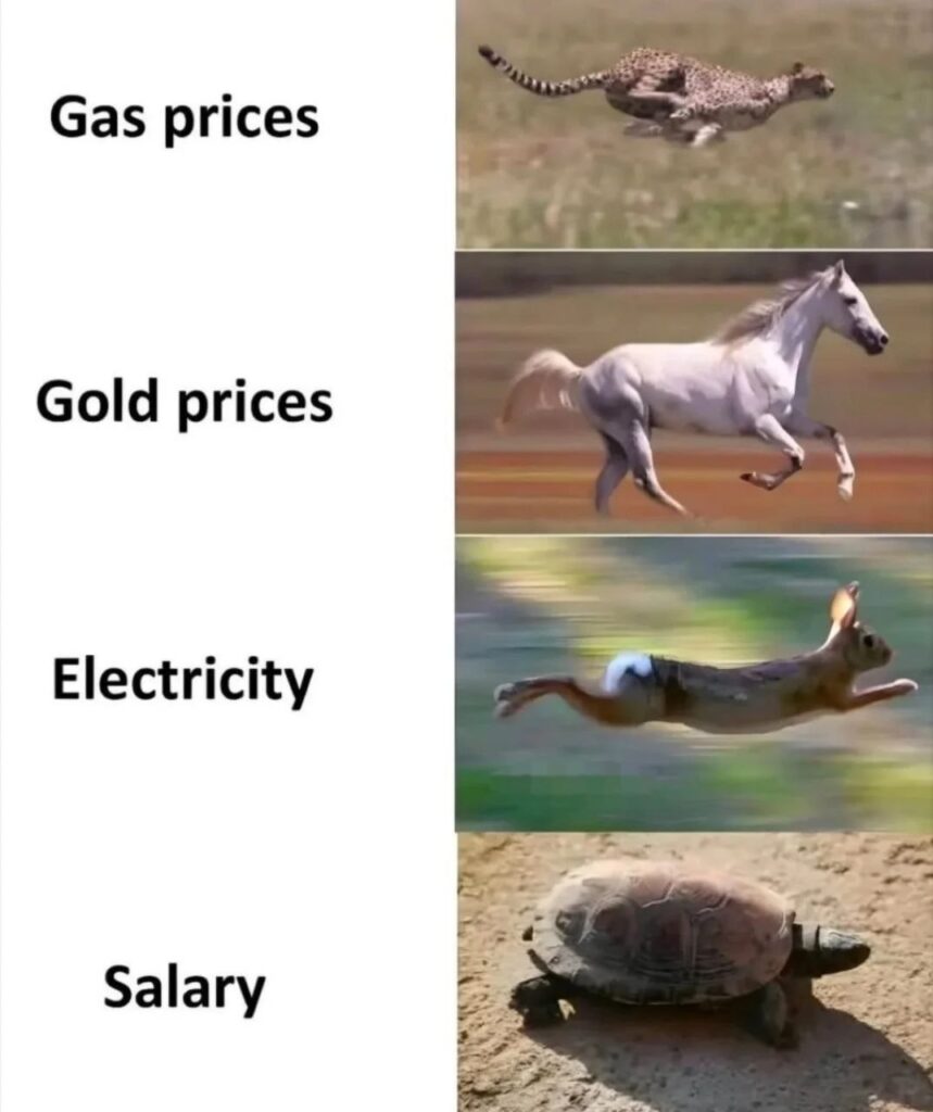 When gas, gold & electricity sprint like cheetahs but your salary crawls slower than a tortoise. #inflation #broke #strugglebus.