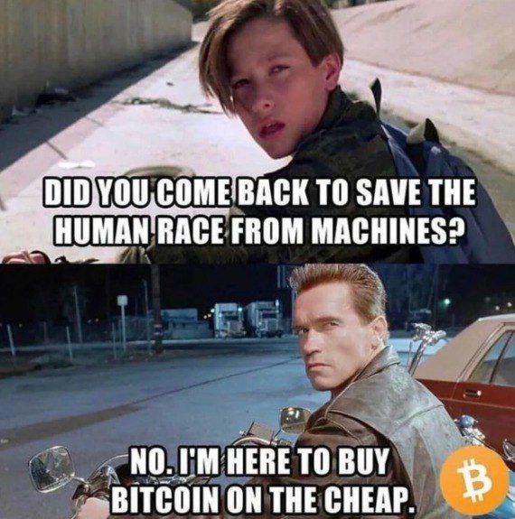 Did you come back to save the human race from machines? No. I'm here to buy bitcoin on the cheap. #Bitcoin #Crypto #Terminator.
