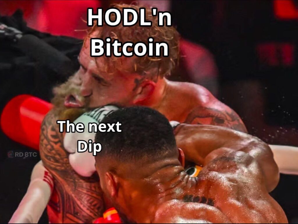 When you’re out here HODL'n Bitcoin and The next Dip lands a right hook 😂 Who’s still standing? #Bitcoin #crypto #HODL.
