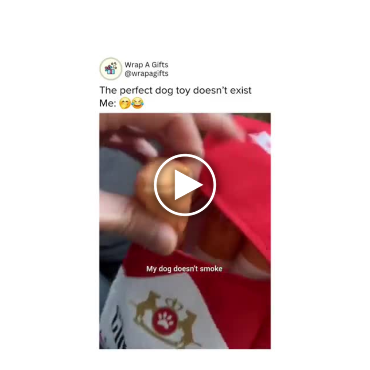 The perfect dog toy doesn’t exist. Me: *waves red cig* My dog doesn’t smoke." Guess he only barks! #Dogs #PetLife #LOL.