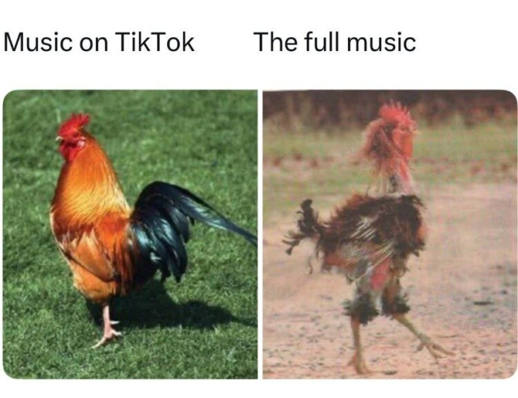 When you vibe to "Music on TikTok" vs. when you try "The full music." Absolute rooster glow-down 😂 #music #TikTok #meme.