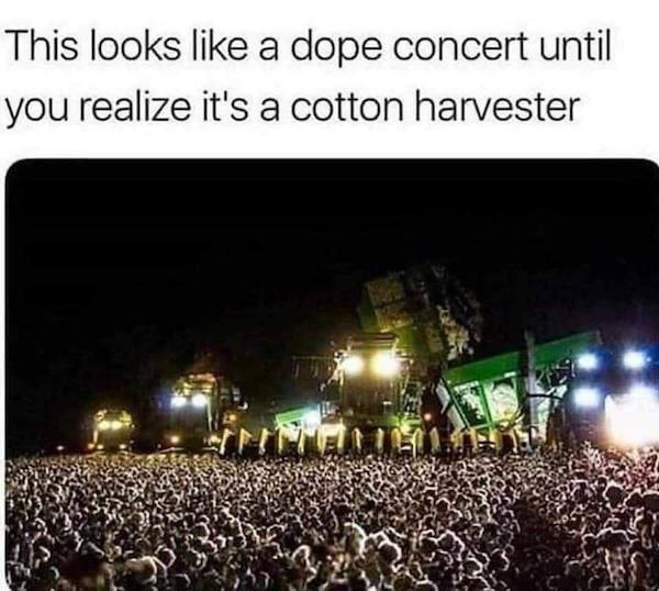 When you realize your cotton field moonlights as Coachella. Throwback to the time my crops partied harder than me! #farming #lit.