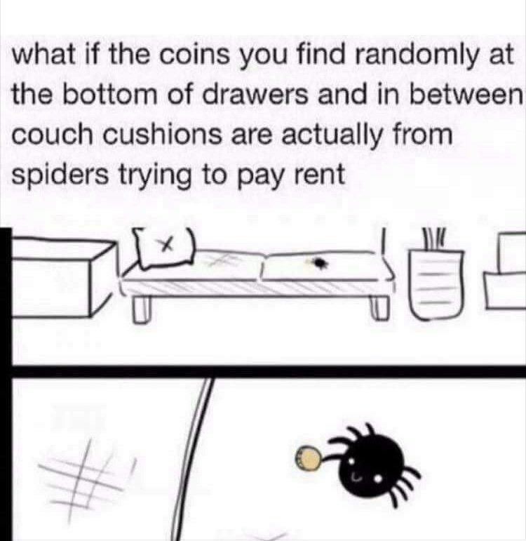 What if the coins you find in couch cushions are just spiders trying to pay rent? Suddenly my sofa change jar is suspicious. #lol #spiders.