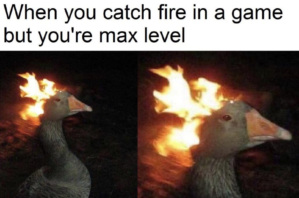 When you catch fire in a game but you're max level. You just vibe through the chaos. #gamer #upgrade #fire.