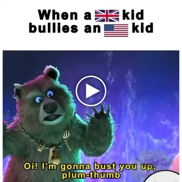 When a 🇬🇧 kid bullies a 🇺🇸 kid: "Oi! I'm gonna bust you up, plum-thumb." Brits don't play fair 😂 #meme #UKvsUS.