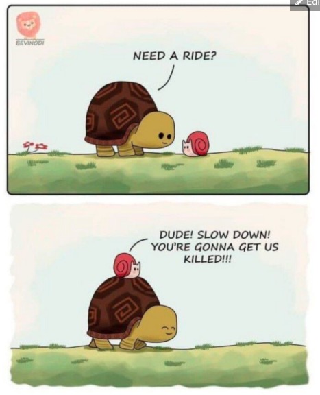 Snail freaks out while cruising on turtle’s back—complains it’s too fast! When slow is relative. #relatable #Perspective.