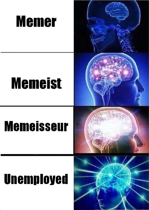You climb the meme ranks: Memer. Memeist. Memeisseur. Then boom, "Unemployed"—achieve max brain power 😂 #meme #unemployment #ascension.