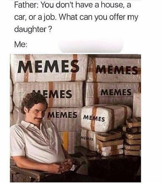 Father: You don't have a house, a car, or a job. What can you offer my daughter? Me: *points to massive MEMES stash* #savage #memelife.