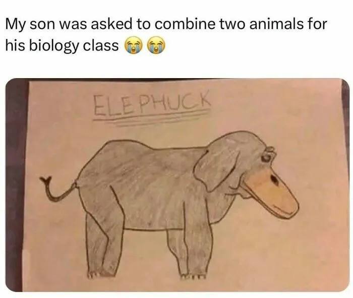“My son was asked to combine two animals for his biology class” 😭😭 ELEPHUCK #parenting #artskills #biologyclass.