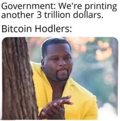 When the government prints another 3 trillion dollars and you’re a Bitcoin hodler 😂🤑 "Government: We're printing another 3 trillion dollars. Bitcoin Hodlers:" #btc #memes.