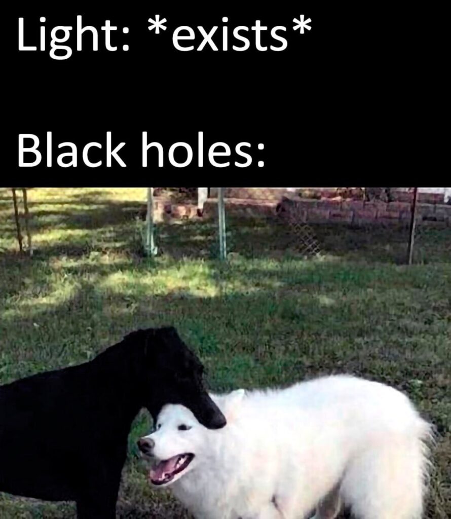 Light: *exists* Black holes: When you're THAT hungry for photons 😂 #science #dogmemes #blackhole.