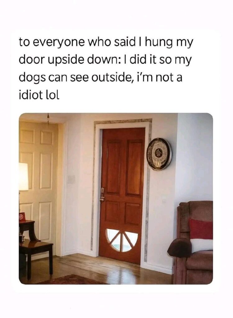 When your dog needs to see who's at the door, so you flip the design. Welcome to canine VIP access! #doglife #designfail.