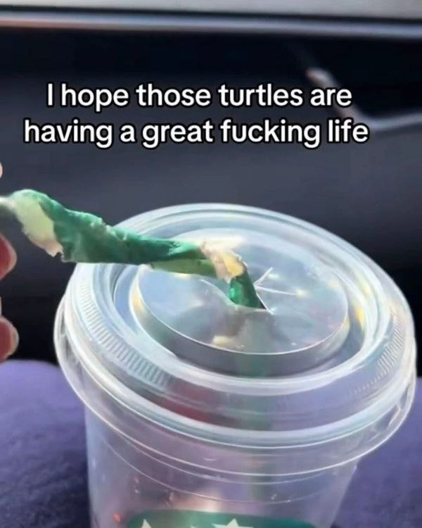 I hope those turtles are having a great fucking life. When your eco straw taps out before you do 😂 #firstworldproblems #sustainability.
