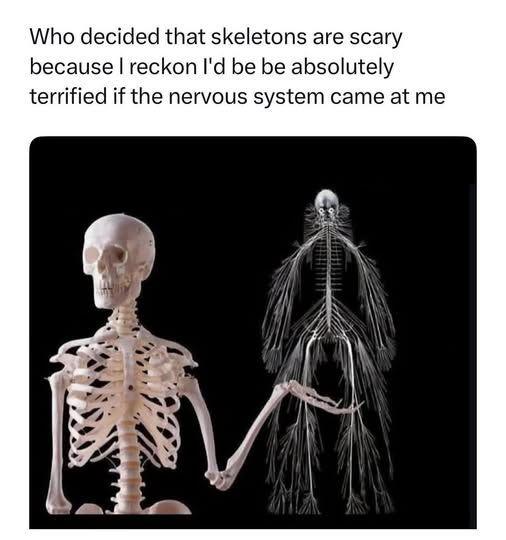 If the nervous system chased you instead of a skeleton, you'd be WAY more terrified. Science just leveled up! #facts #horror.