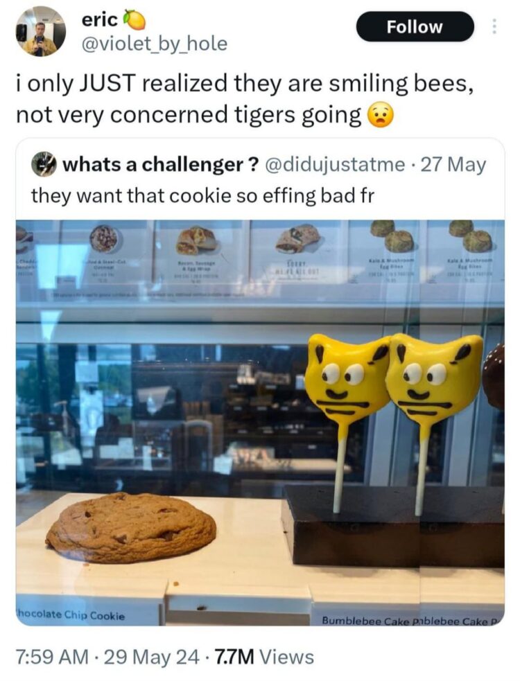 You ever see “not very concerned tigers” instead of “smiling bees”? Yeah, me too. #mood #cakefail.