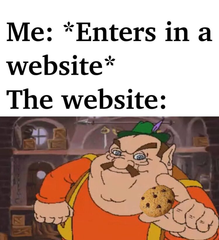 Me: *Enters in a website* The website: Here, take this cookie NOW! 😂🍪 #cookies #internet #meme.
