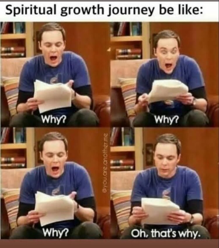 Spiritual growth journey be like: 'Why? Why? Why?... Oh, that's why.' Been there? Welcome to enlightenment 😂 #spirituality #growth.