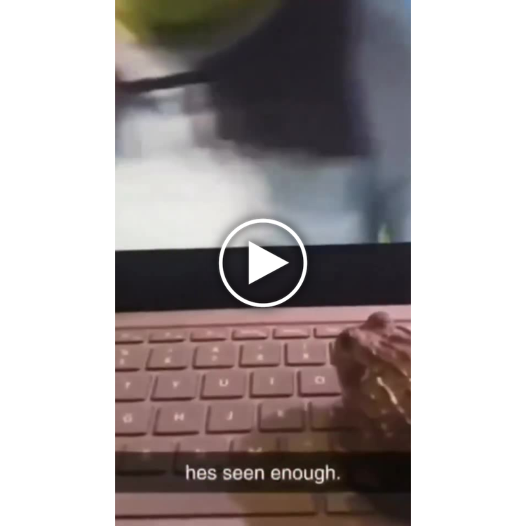 Ever felt like the frog? “hes seen enough.” Same, buddy. Time to log off for today 😂 #mood.