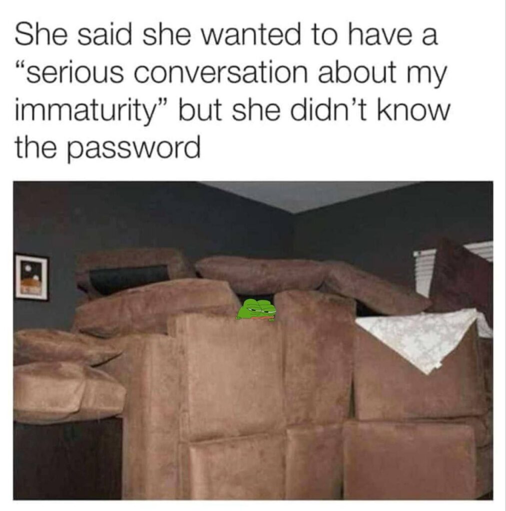 She said she wanted to have a ‘serious conversation about my immaturity’ but she didn’t know the password. #meme #adulting.