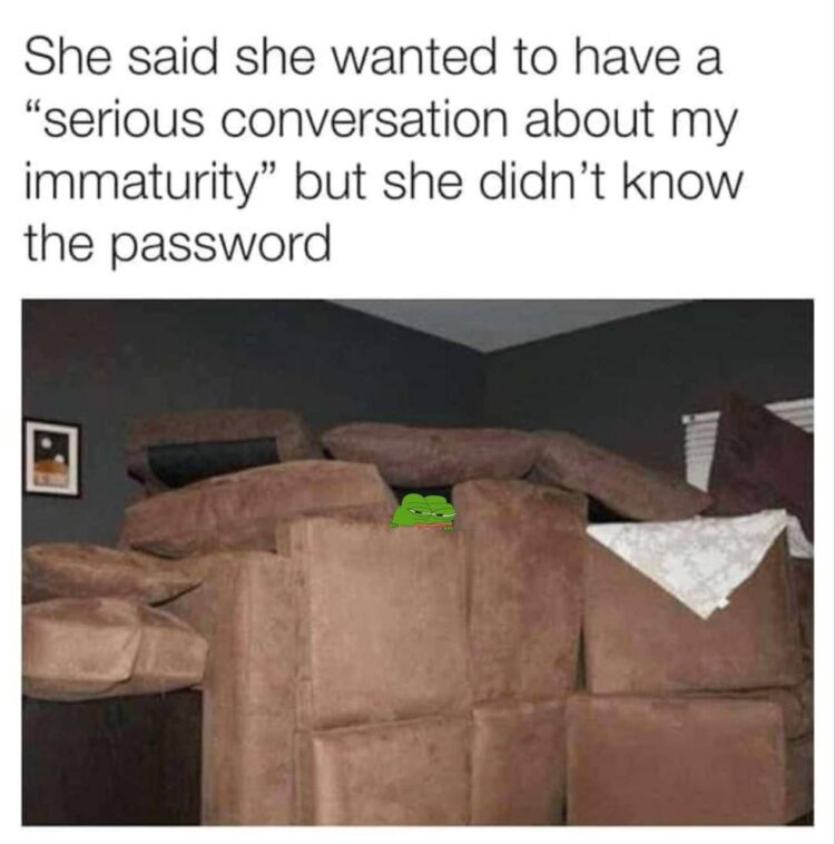 She said she wanted to have a ‘serious conversation about my immaturity’ but she didn’t know the password. #meme #adulting.