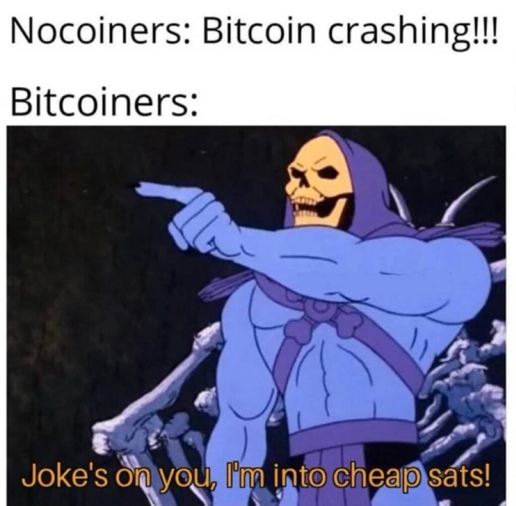 When nocoiners yell “Bitcoin crashing!!!”, but you just laugh: "Joke’s on you, I’m into cheap sats!" #Bitcoin #crypto #memes.