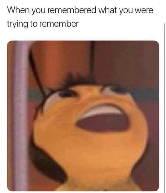 When you remembered what you were trying to remember. That rush of victory hits different every time 😂 #win #memory #lol.