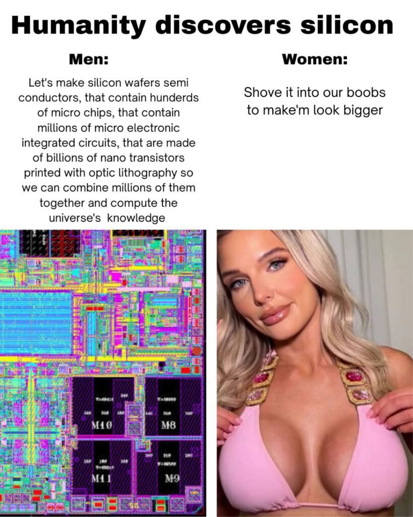 Men: "Uses silicon for computers." Women: "Uses silicone for upgrades." Pick your chip wisely! 😂 #tech #upgrade #siliconvsilicone.