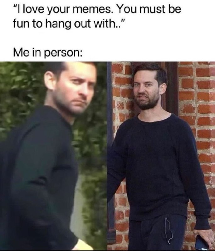 “I love your memes. You must be fun to hang out with..” Me in person: Expectations vs reality hits hard 😂 #awkward #introvert.