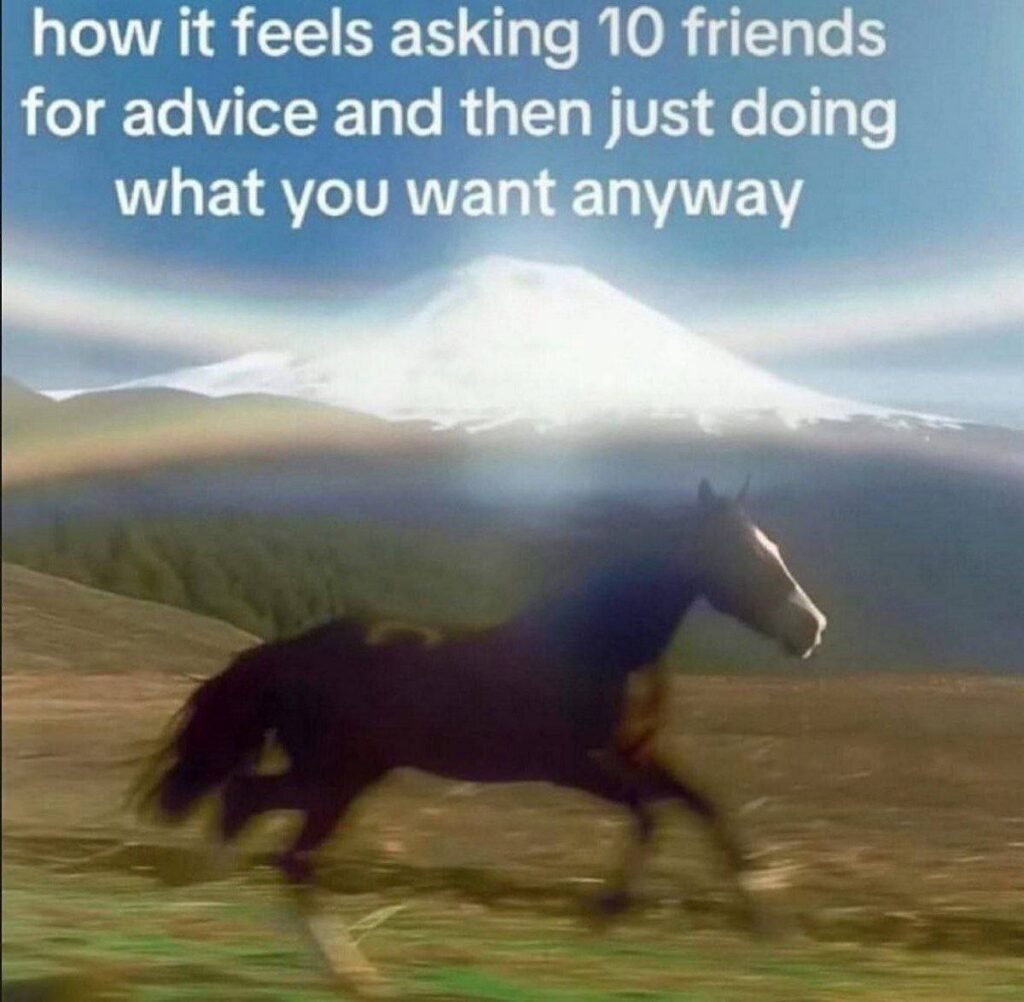 When you ask 10 friends for advice and then just do whatever you want anyway 😂 "how it feels asking 10 friends..." #mood.