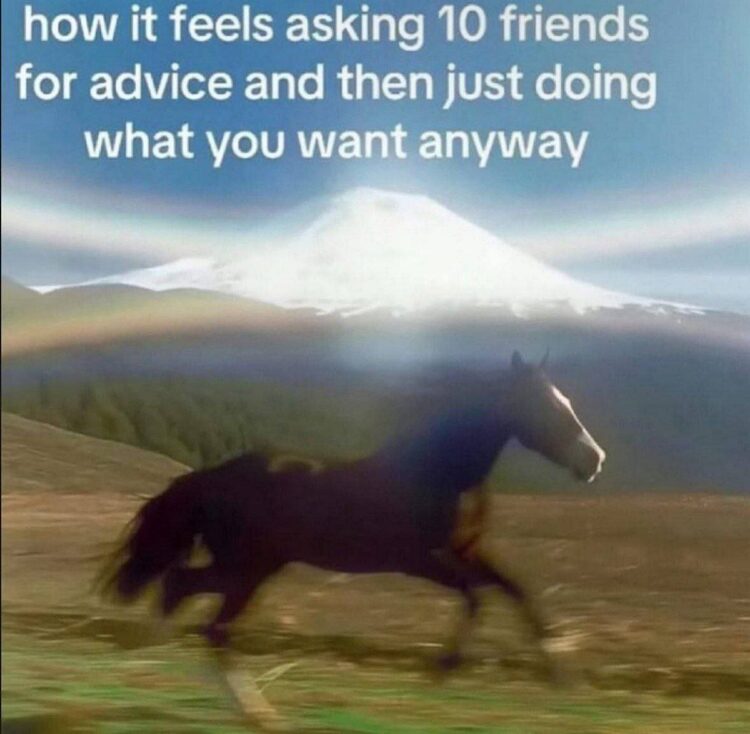 When you ask 10 friends for advice and then just do whatever you want anyway 😂 "how it feels asking 10 friends..." #mood.