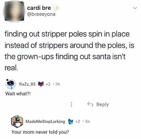 Finding out stripper poles spin, not the strippers = adult Santa myth moment. Replies: minds blown + "Your mom never told you?" #adulting.