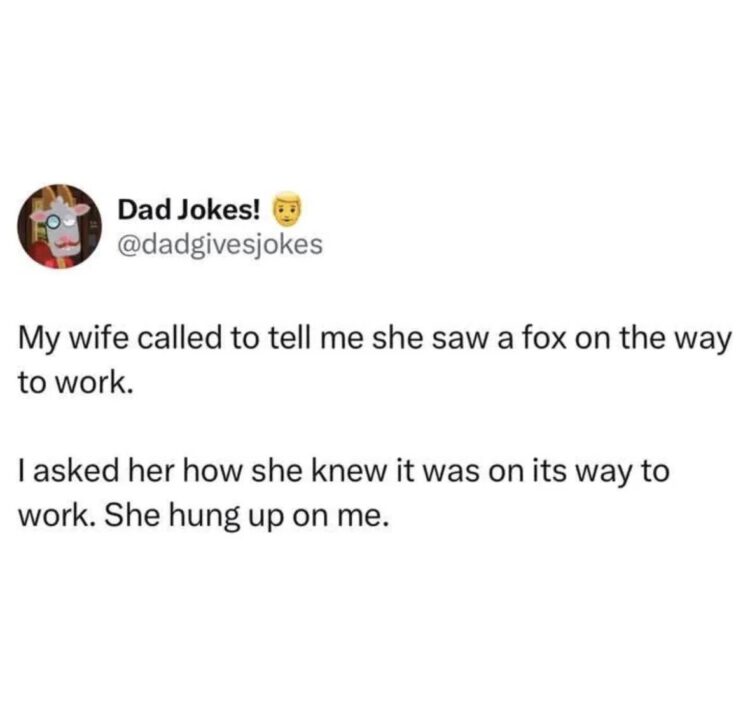 You ever troll your spouse so hard they hang up? My wife: saw a fox on the way to work. Me: Was it late for its 9-to-5? #marriedlife.