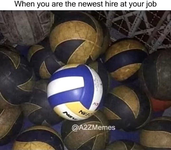 When you are the newest hire at your job 😂 That fresh energy walking into a team of seasoned pros. #newbie #worklife.