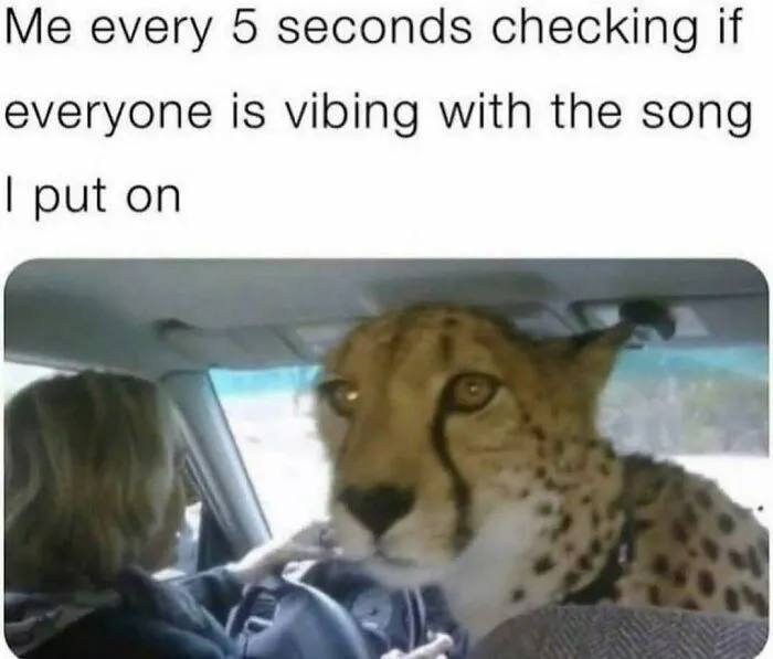 Me every 5 seconds checking if everyone is vibing with the song I put on. You know you do this too 😂 #anxiety #carvibes.