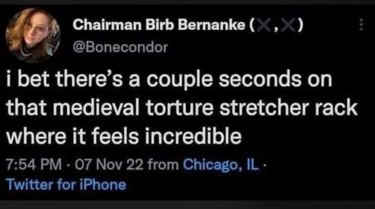 You ever wonder if that medieval torture rack had a few seconds of pure bliss? 😂 "i bet there’s a couple seconds..." #History #LOL.