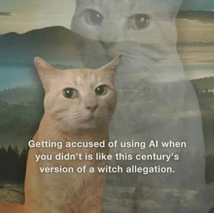 Getting accused of using AI when you didn’t is this century’s witch allegation. Burn the heretics! #AI #cats #drama.